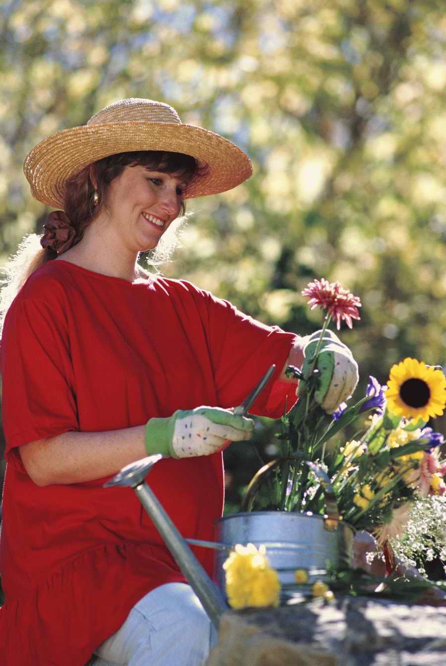 Homes & Gardens - Photodisc ></a>
<script language=JavaScript> 
  var txt = 