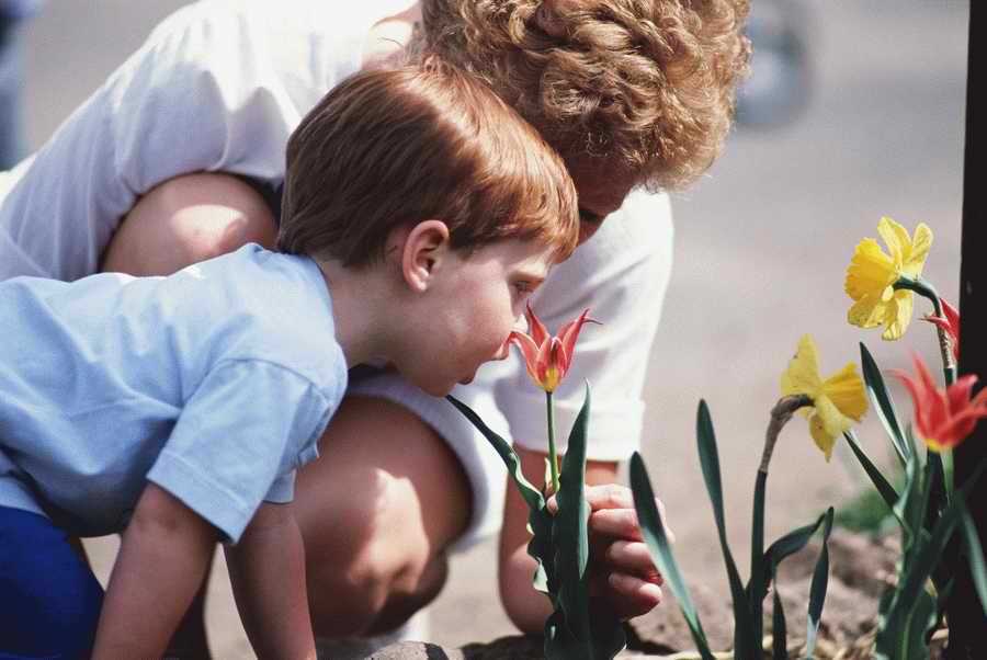 Homes & Gardens - Photodisc ></a>
<script language=JavaScript> 
  var txt = 