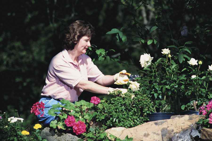 Homes & Gardens - Photodisc ></a>
<script language=JavaScript> 
  var txt = 