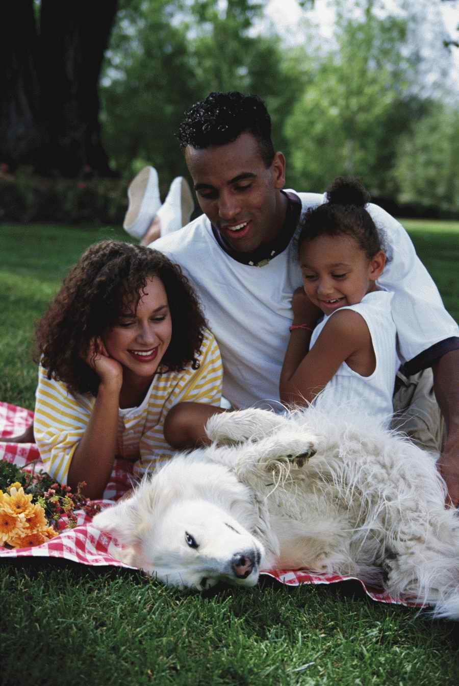 Homes & Gardens - Photodisc ></a>
<script language=JavaScript> 
  var txt = 