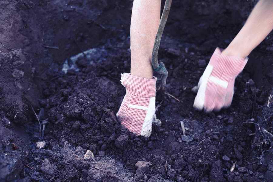 Homes & Gardens - Photodisc ></a>
<script language=JavaScript> 
  var txt = 