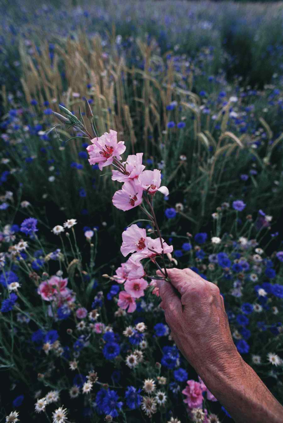 Homes & Gardens - Photodisc ></a>
<script language=JavaScript> 
  var txt = 