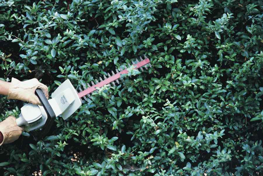 Homes & Gardens - Photodisc ></a>
<script language=JavaScript> 
  var txt = 