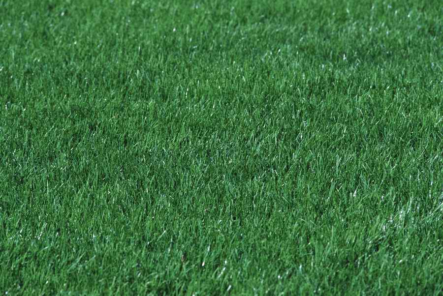 Homes & Gardens - Photodisc ></a>
<script language=JavaScript> 
  var txt = 