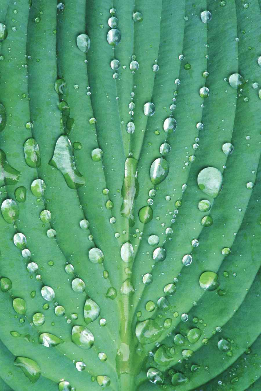 Homes & Gardens - Photodisc ></a>
<script language=JavaScript> 
  var txt = 