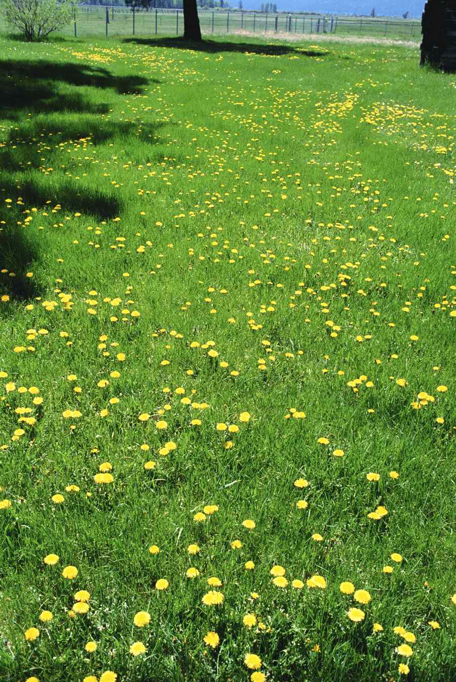 Homes & Gardens - Photodisc ></a>
<script language=JavaScript> 
  var txt = 