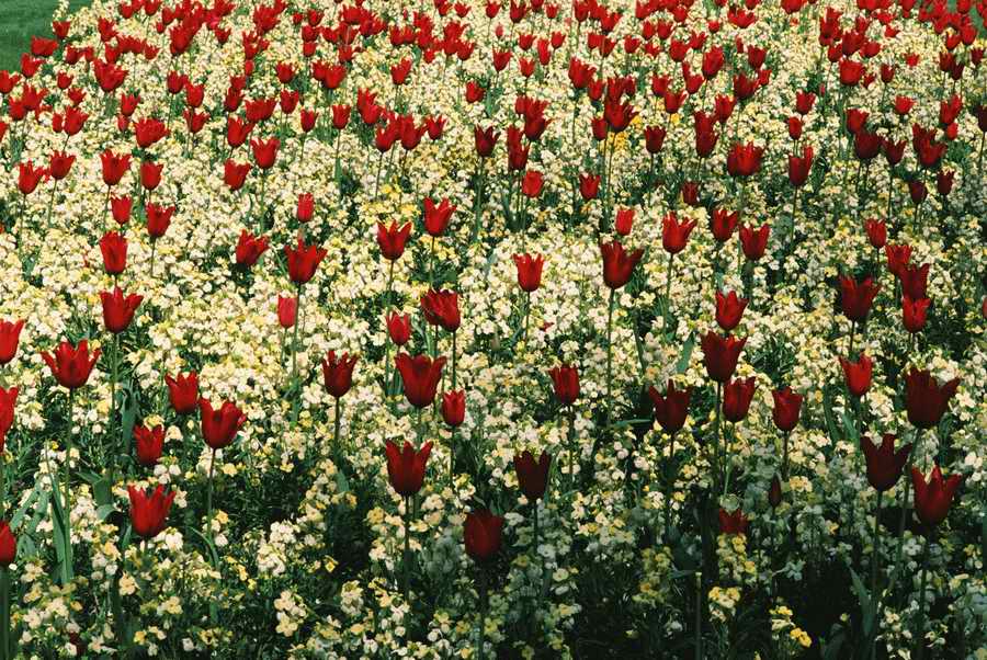 Homes & Gardens - Photodisc ></a>
<script language=JavaScript> 
  var txt = 