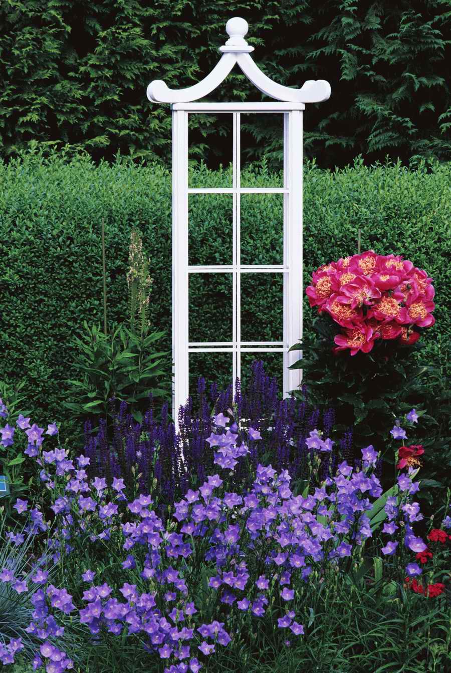 Homes & Gardens - Photodisc ></a>
<script language=JavaScript> 
  var txt = 