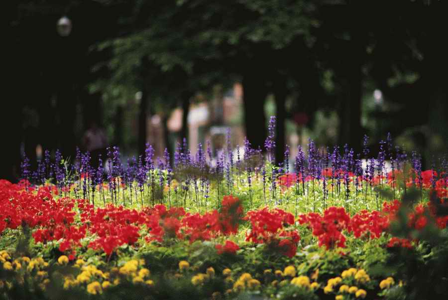 Homes & Gardens - Photodisc ></a>
<script language=JavaScript> 
  var txt = 