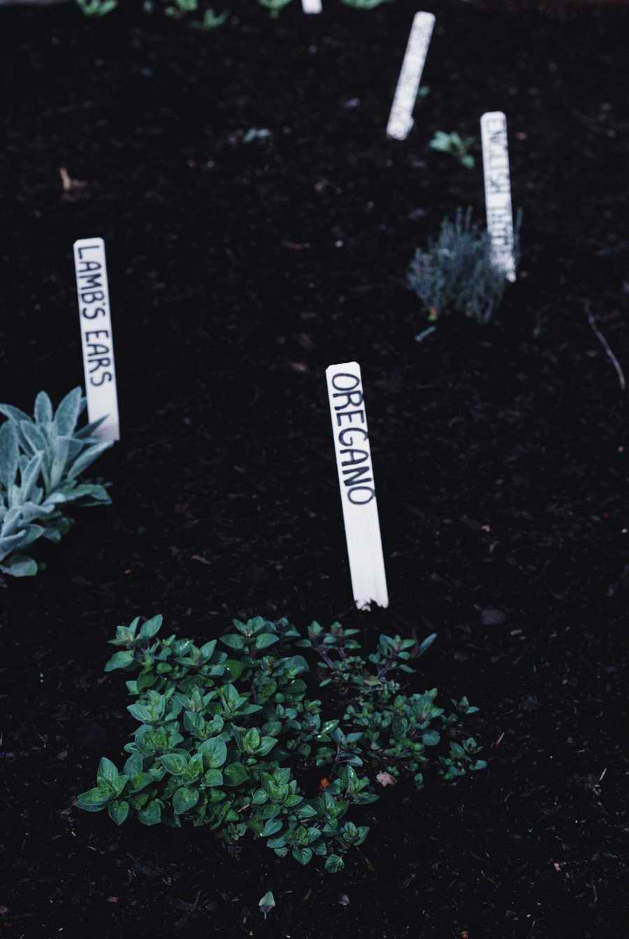 Homes & Gardens - Photodisc ></a>
<script language=JavaScript> 
  var txt = 