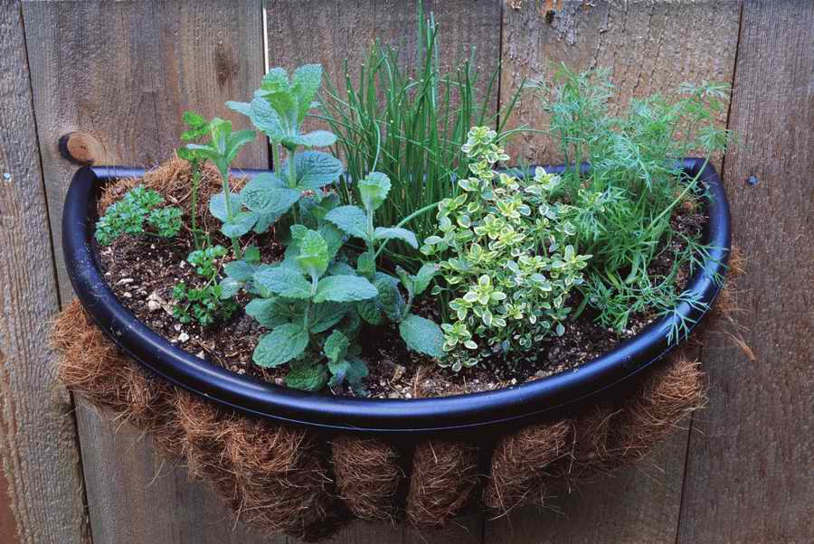 Homes & Gardens - Photodisc ></a>
<script language=JavaScript> 
  var txt = 