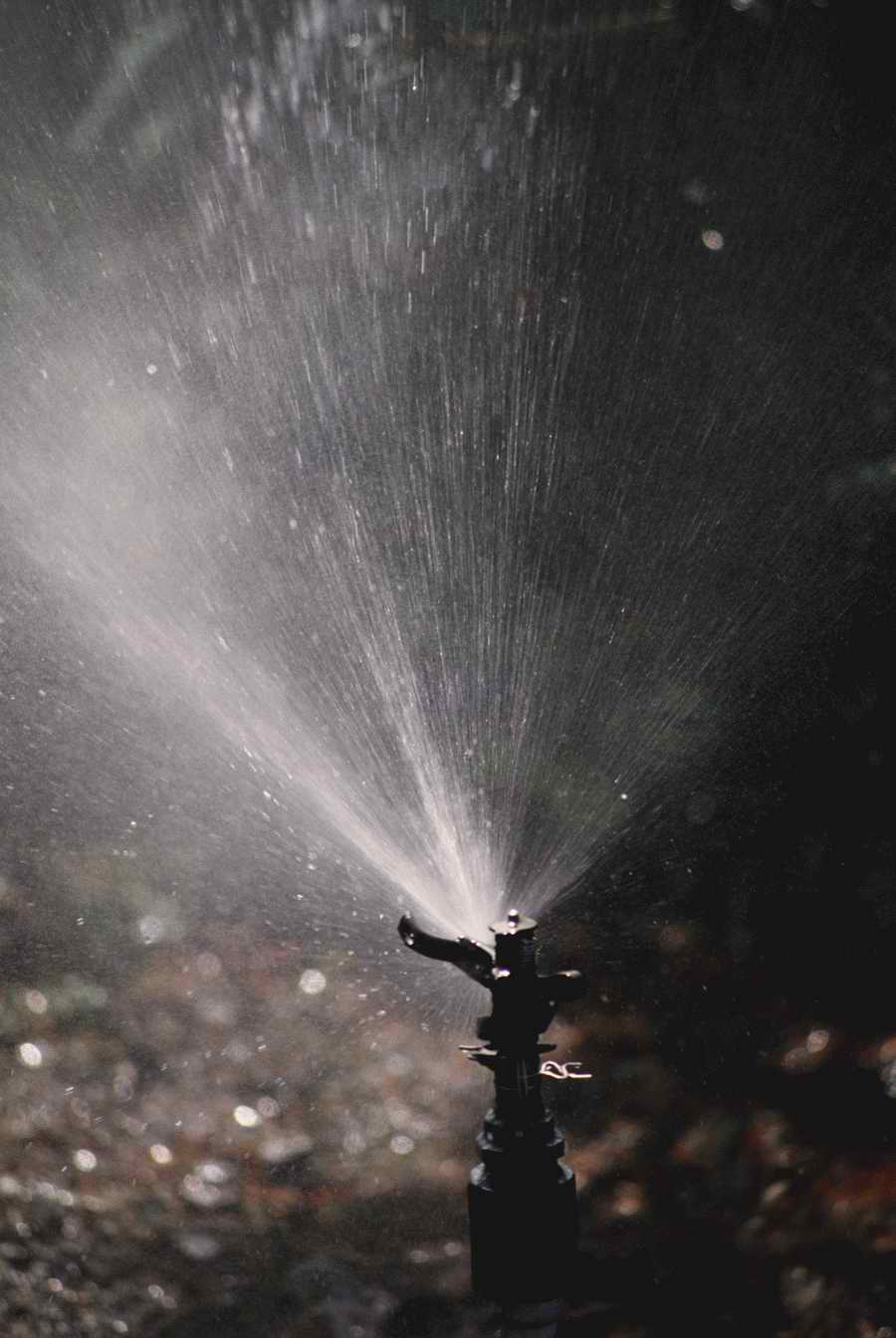 Homes & Gardens - Photodisc ></a>
<script language=JavaScript> 
  var txt = 