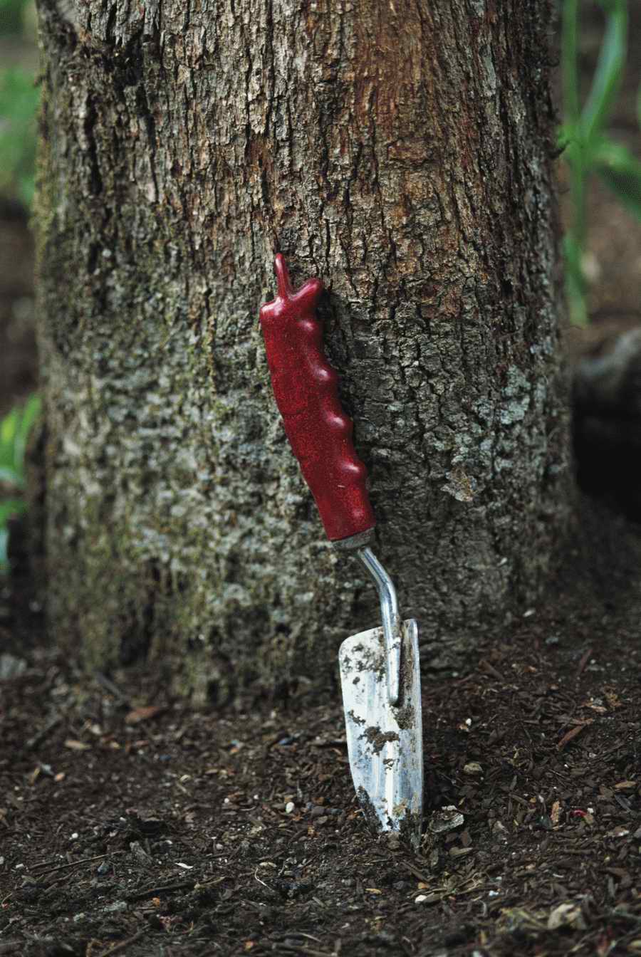 Homes & Gardens - Photodisc ></a>
<script language=JavaScript> 
  var txt = 