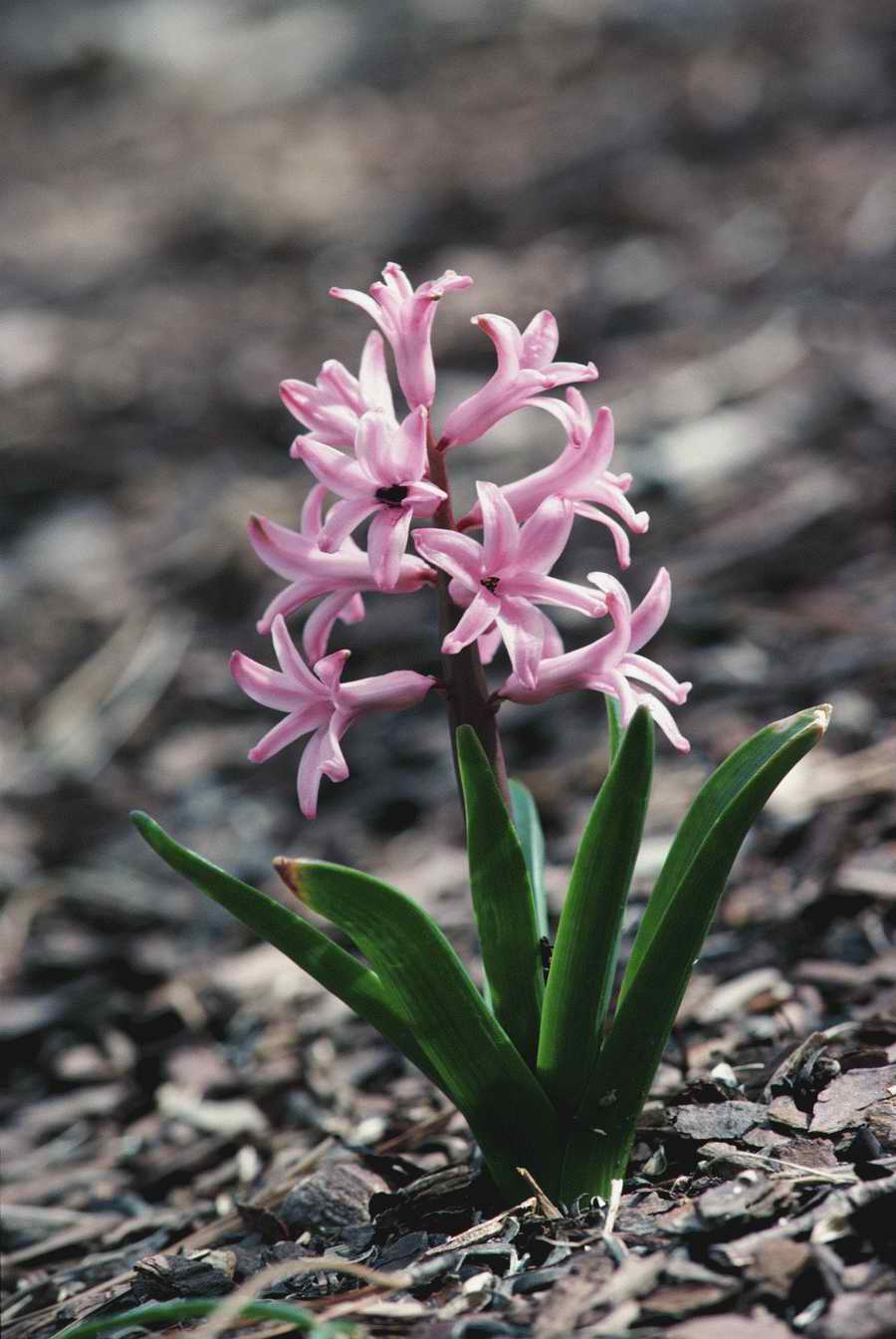 Homes & Gardens - Photodisc ></a>
<script language=JavaScript> 
  var txt = 