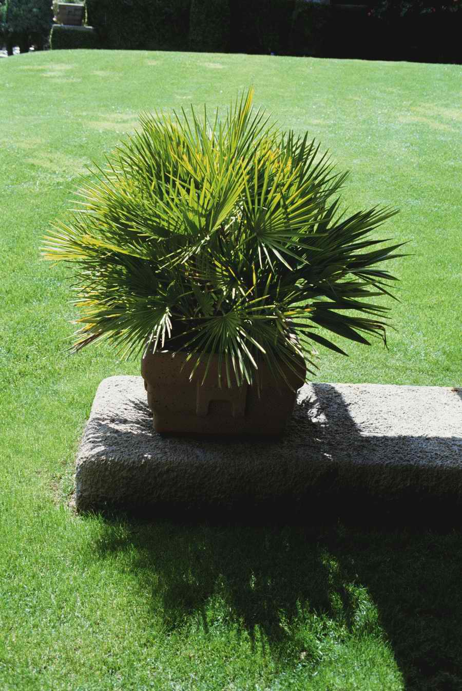 Homes & Gardens - Photodisc ></a>
<script language=JavaScript> 
  var txt = 