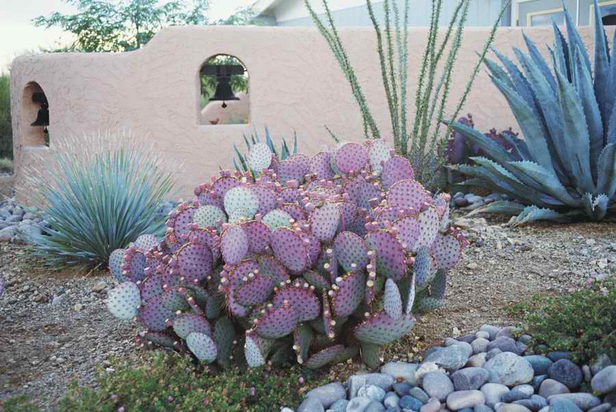 Homes & Gardens - Photodisc ></a>
<script language=JavaScript> 
  var txt = 