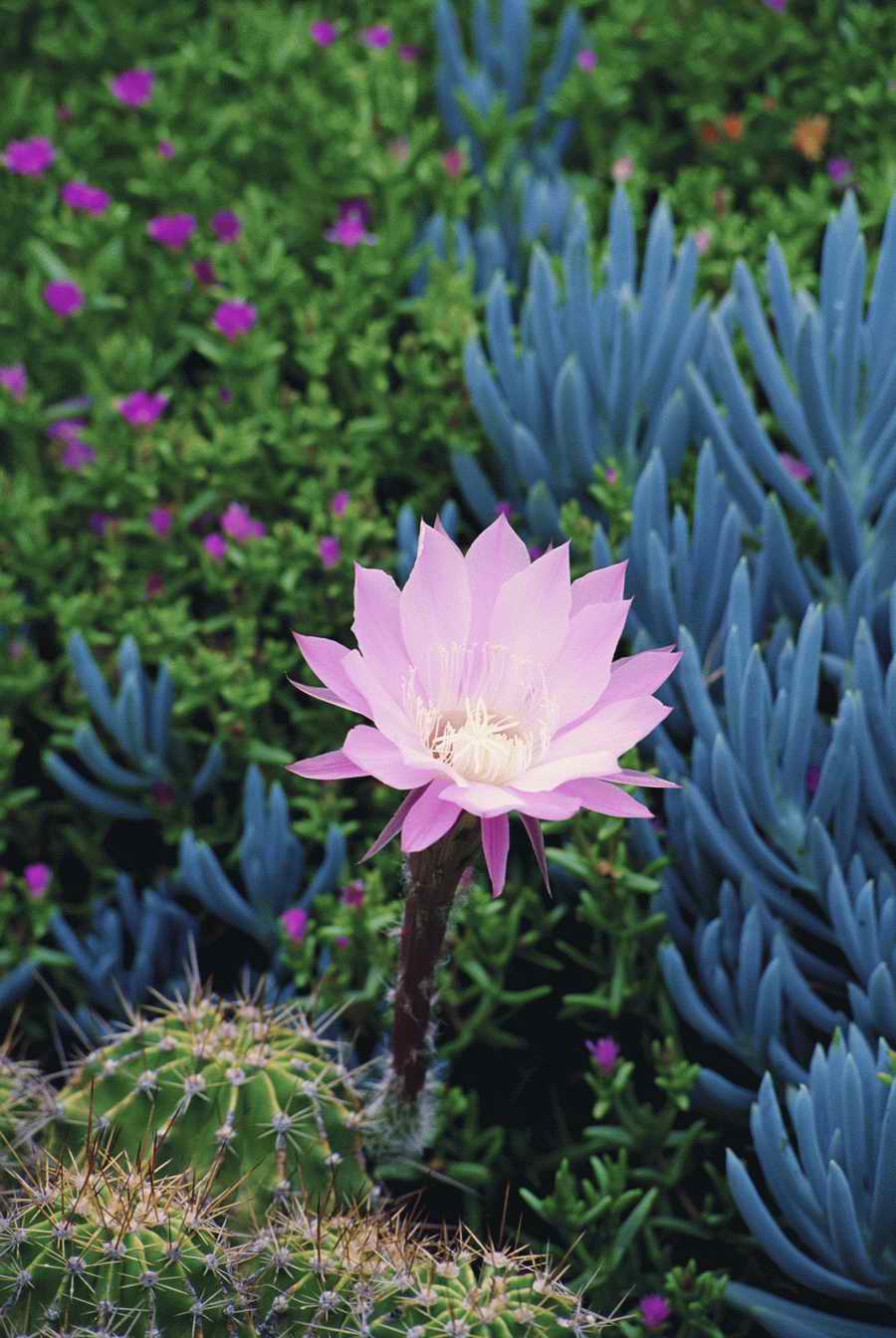 Homes & Gardens - Photodisc ></a>
<script language=JavaScript> 
  var txt = 