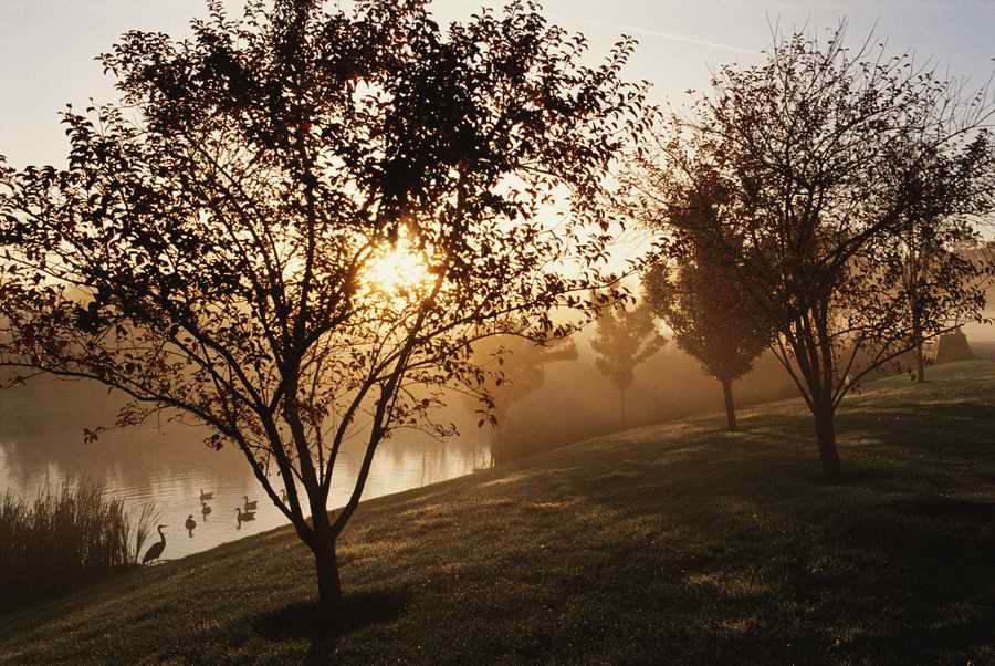 Homes & Gardens - Photodisc ></a>
<script language=JavaScript> 
  var txt = 