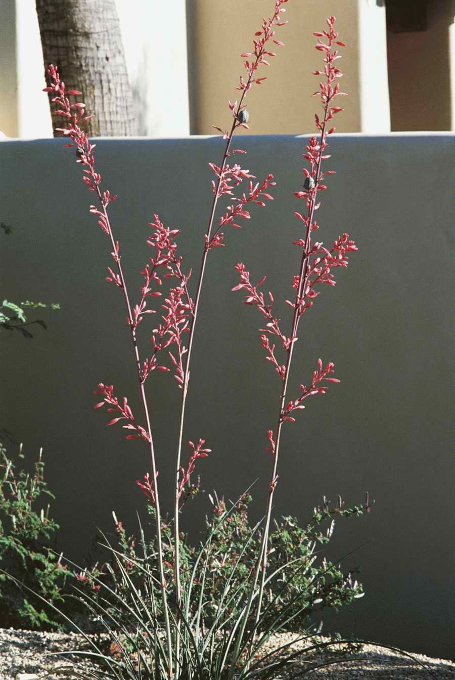 Homes & Gardens - Photodisc ></a>
<script language=JavaScript> 
  var txt = 