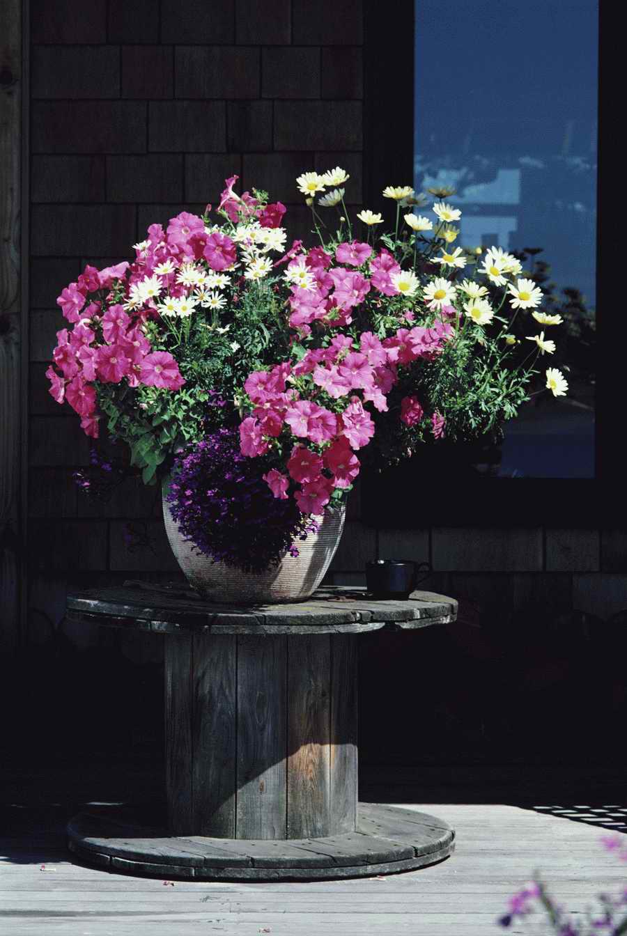 Homes & Gardens - Photodisc ></a>
<script language=JavaScript> 
  var txt = 