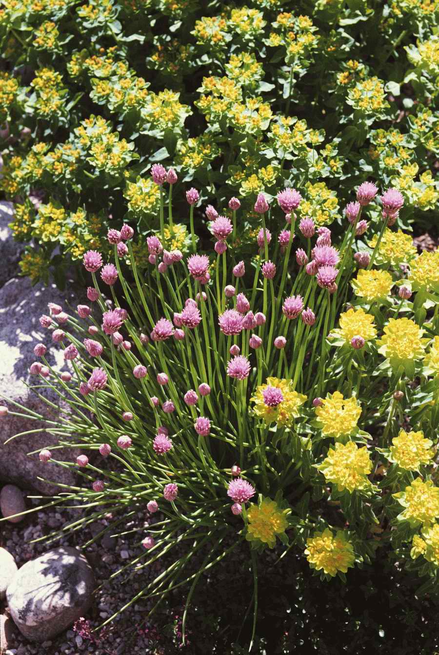 Homes & Gardens - Photodisc ></a>
<script language=JavaScript> 
  var txt = 