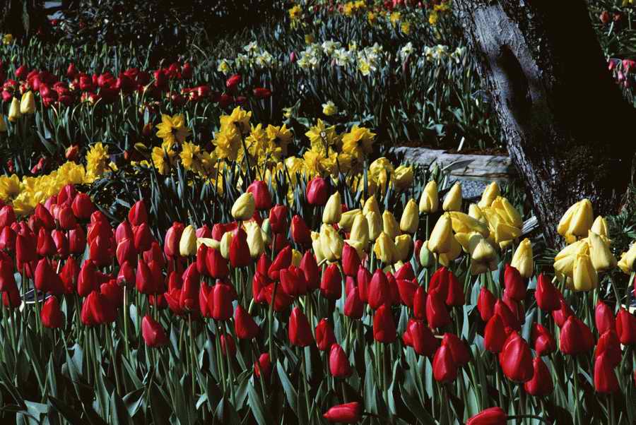 Homes & Gardens - Photodisc ></a>
<script language=JavaScript> 
  var txt = 