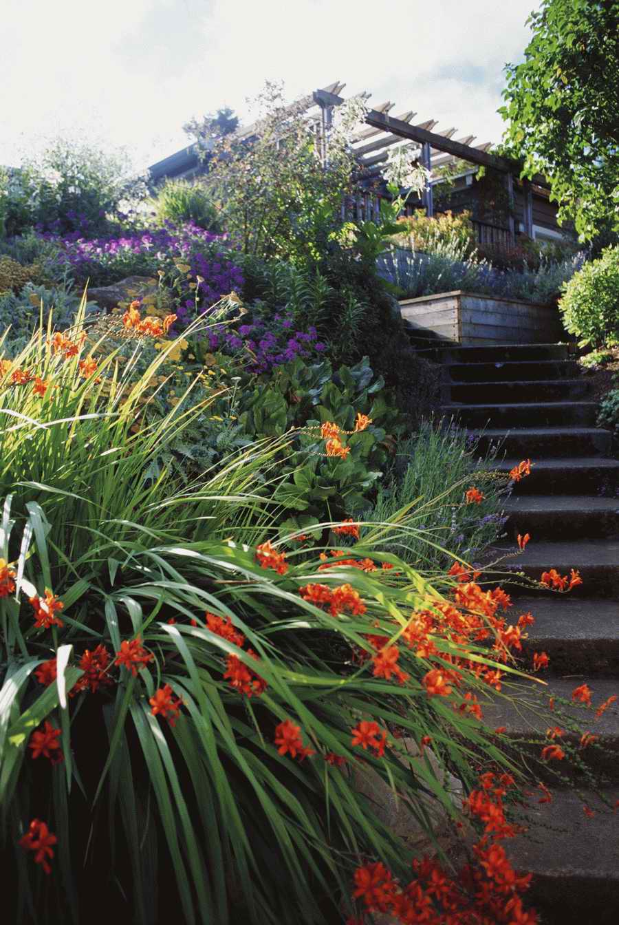 Homes & Gardens - Photodisc ></a>
<script language=JavaScript> 
  var txt = 