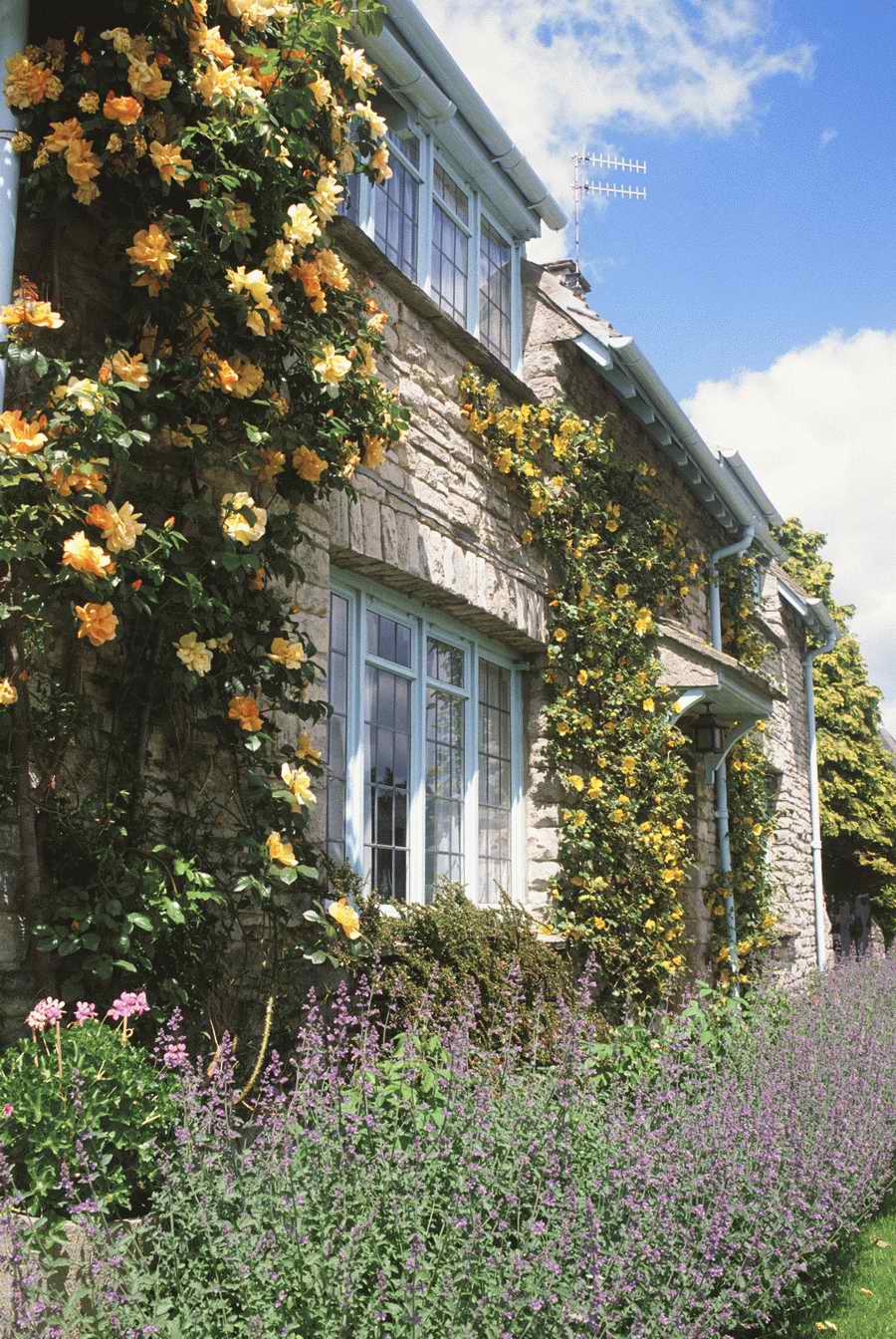 Homes & Gardens - Photodisc ></a>
<script language=JavaScript> 
  var txt = 