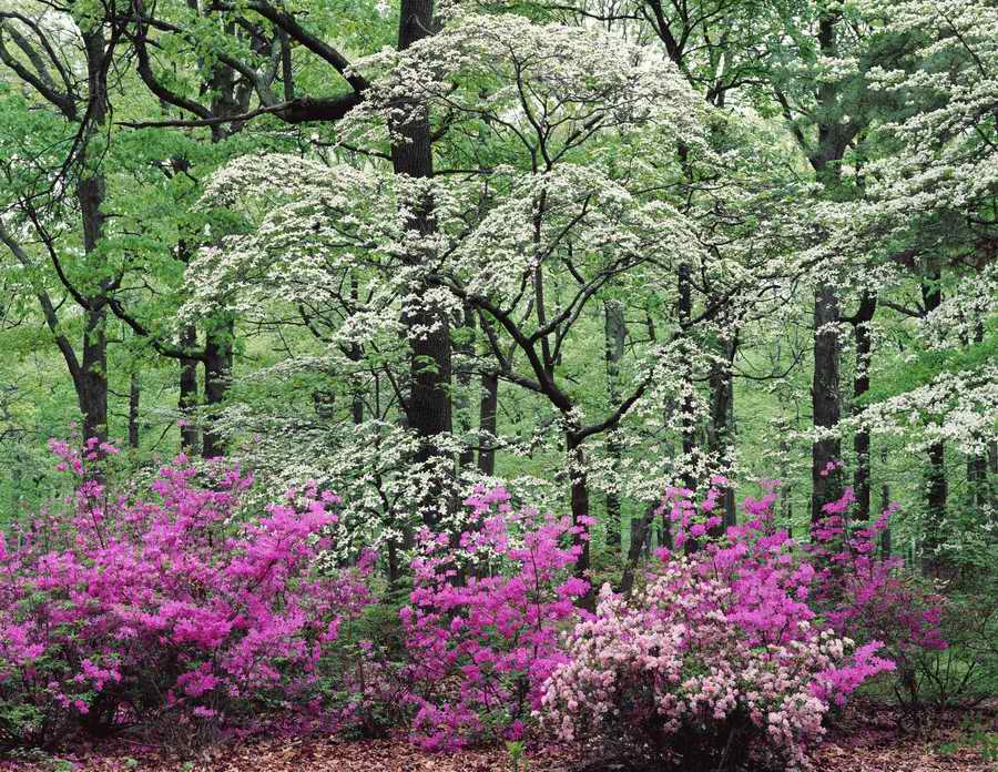 Homes & Gardens - Photodisc ></a>
<script language=JavaScript> 
  var txt = 