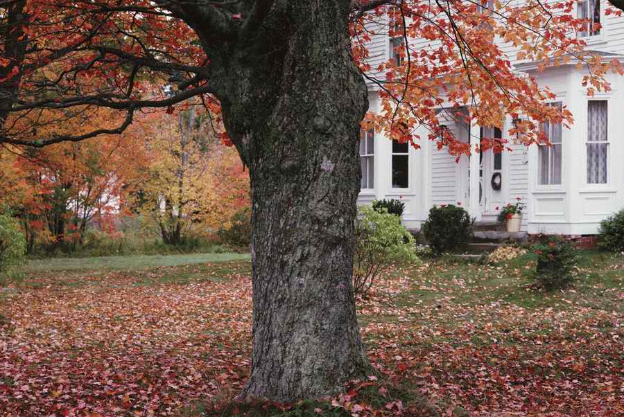 Homes & Gardens - Photodisc ></a>
<script language=JavaScript> 
  var txt = 