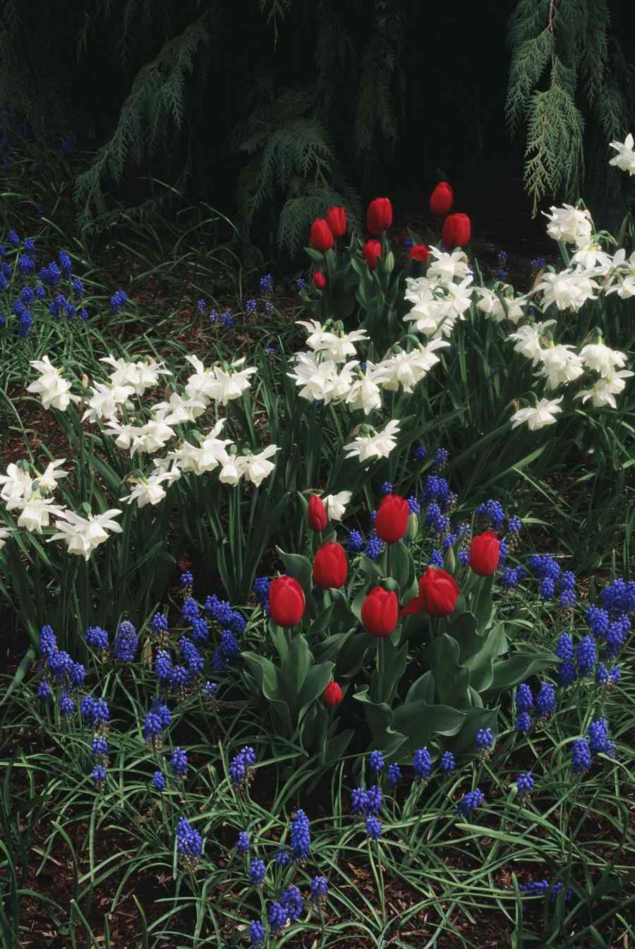 Homes & Gardens - Photodisc ></a>
<script language=JavaScript> 
  var txt = 