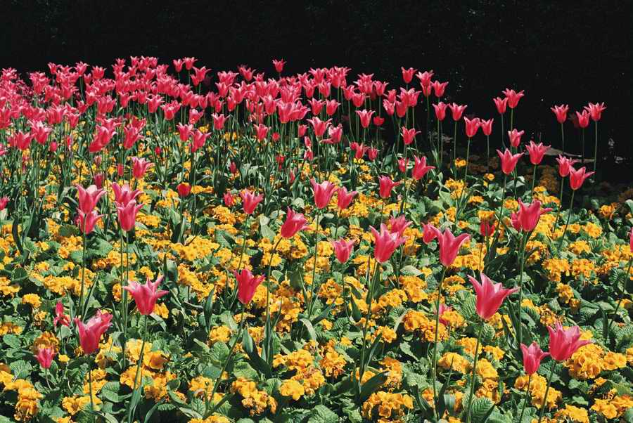 Homes & Gardens - Photodisc ></a>
<script language=JavaScript> 
  var txt = 