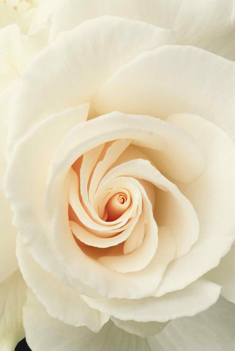 Homes & Gardens - Photodisc ></a>
<script language=JavaScript> 
  var txt = 