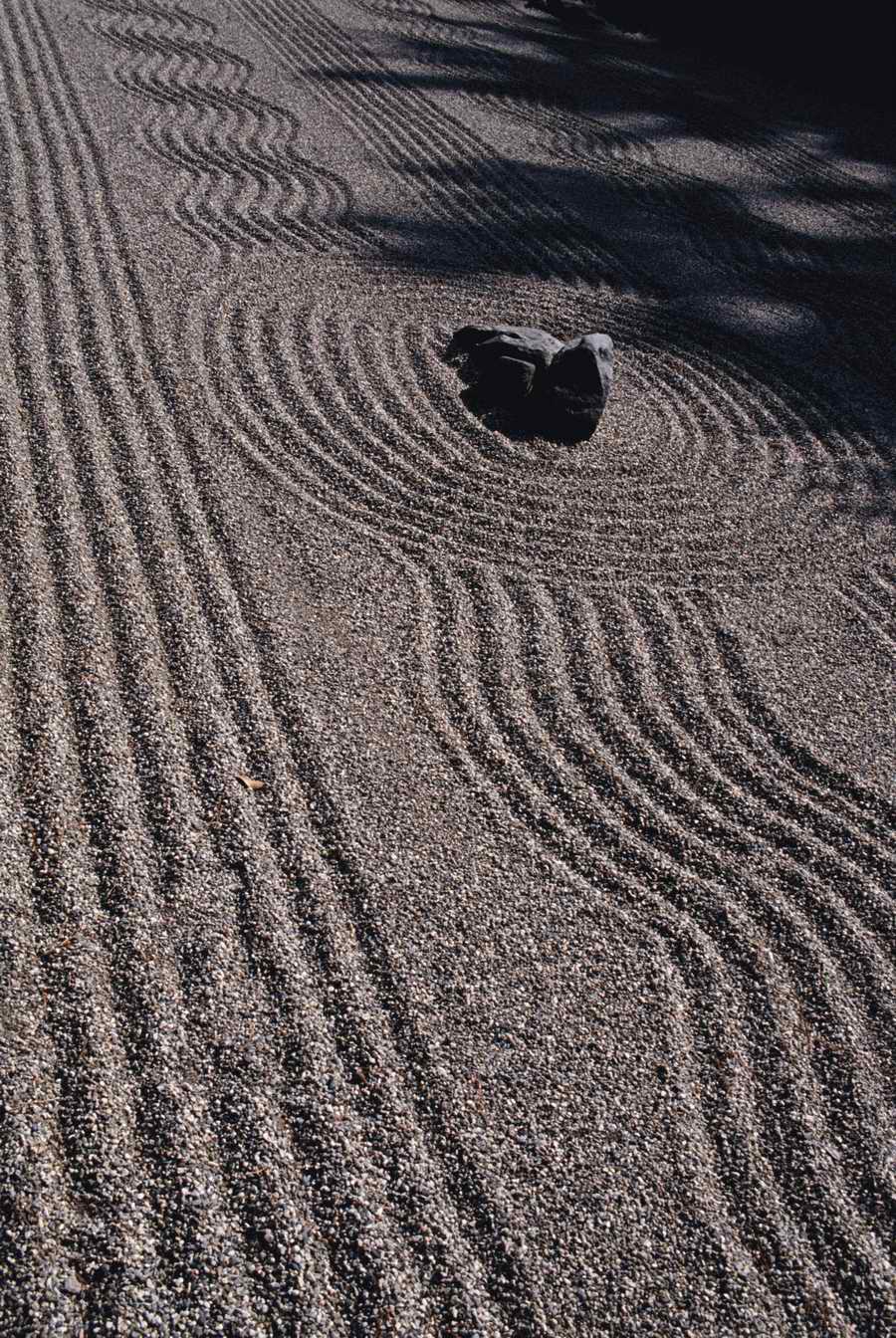 Homes & Gardens - Photodisc ></a>
<script language=JavaScript> 
  var txt = 