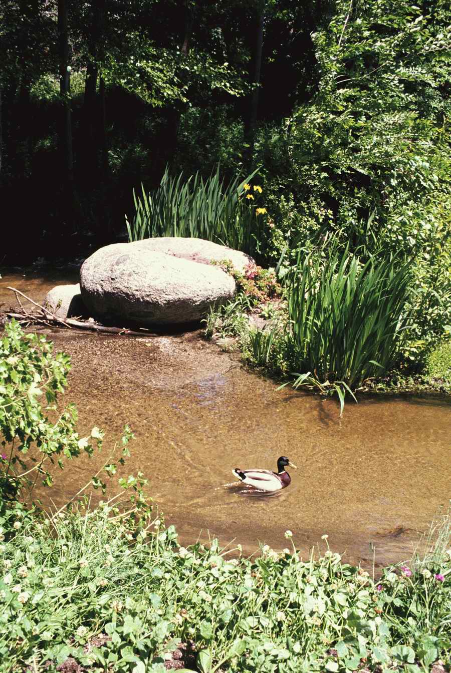 Homes & Gardens - Photodisc ></a>
<script language=JavaScript> 
  var txt = 