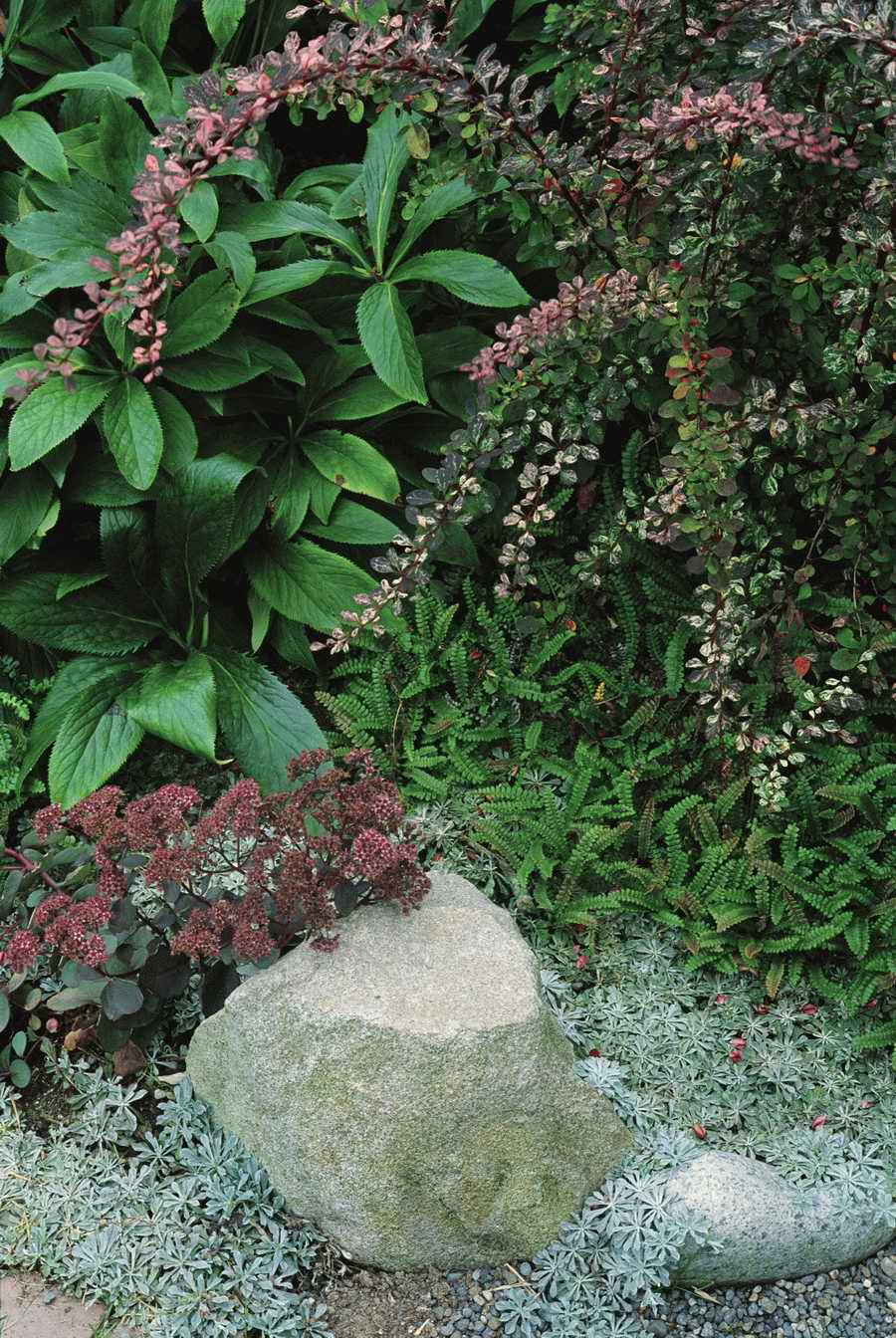 Homes & Gardens - Photodisc ></a>
<script language=JavaScript> 
  var txt = 