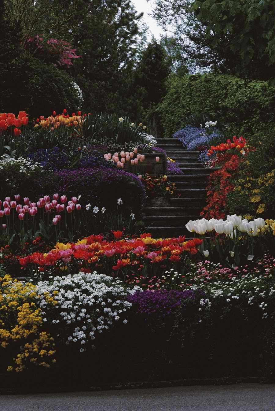 Homes & Gardens - Photodisc ></a>
<script language=JavaScript> 
  var txt = 