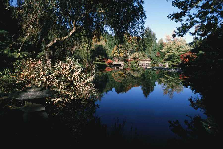 Homes & Gardens - Photodisc ></a>
<script language=JavaScript> 
  var txt = 