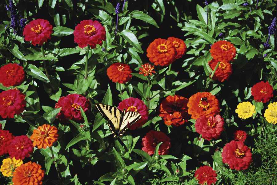 Homes & Gardens - Photodisc ></a>
<script language=JavaScript> 
  var txt = 