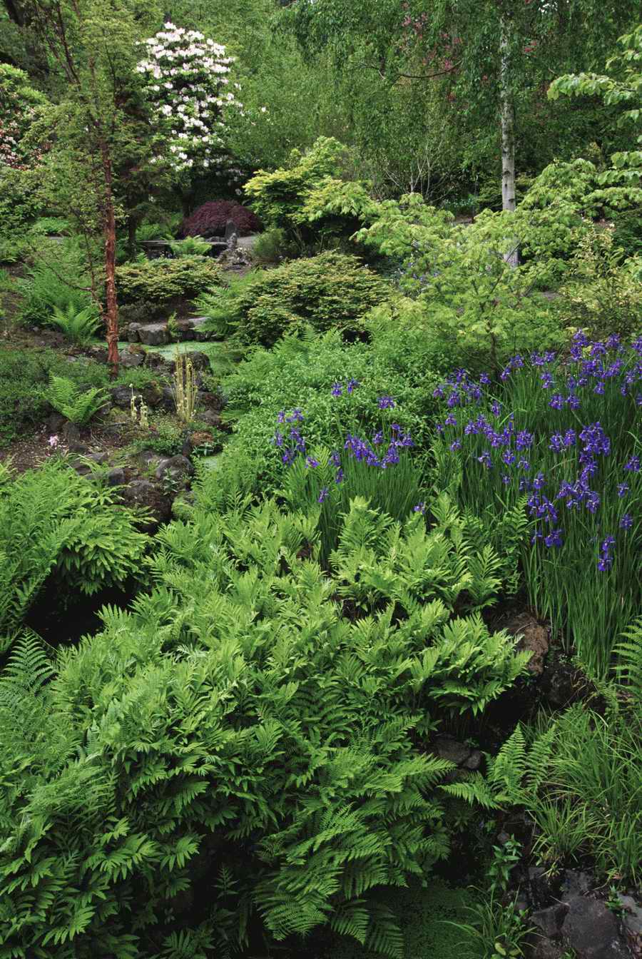 Homes & Gardens - Photodisc ></a>
<script language=JavaScript> 
  var txt = 