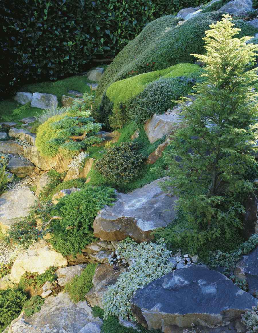 Homes & Gardens - Photodisc ></a>
<script language=JavaScript> 
  var txt = 