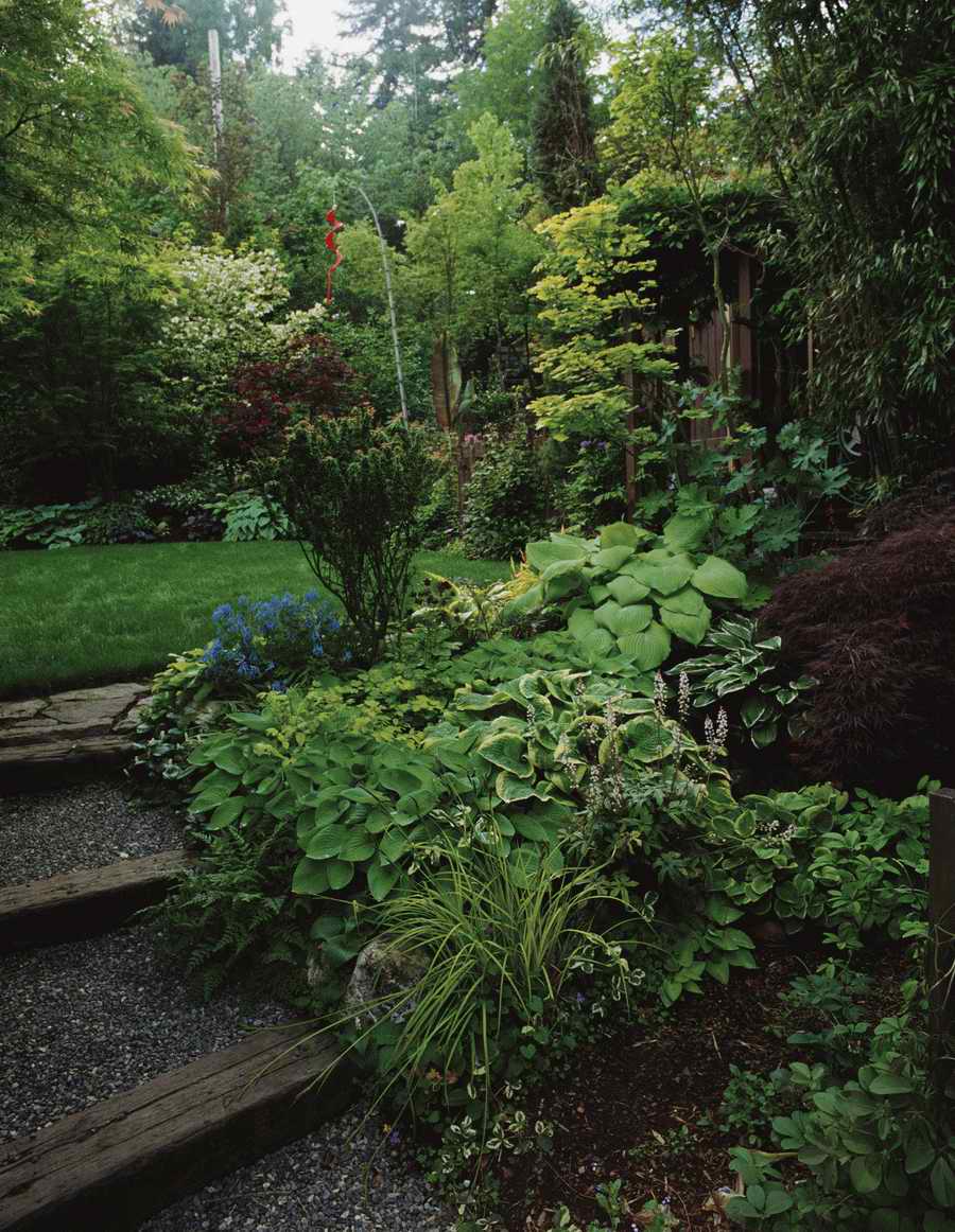 Homes & Gardens - Photodisc ></a>
<script language=JavaScript> 
  var txt = 