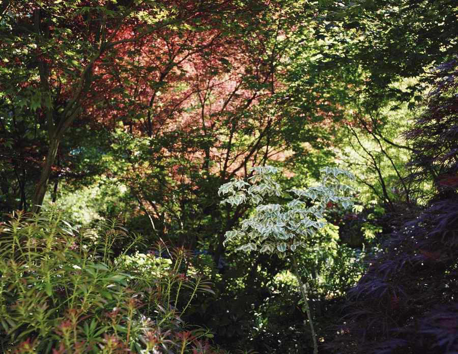 Homes & Gardens - Photodisc ></a>
<script language=JavaScript> 
  var txt = 