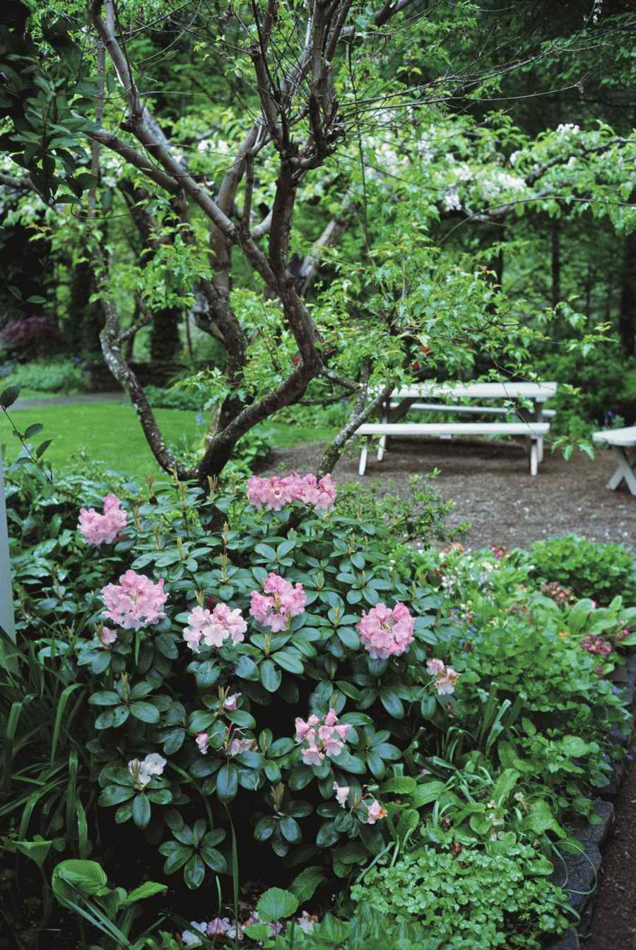 Homes & Gardens - Photodisc ></a>
<script language=JavaScript> 
  var txt = 