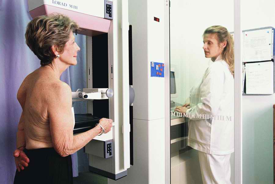 Health & Medicine - Photodisc ></a>
<script language=JavaScript> 
  var txt = 