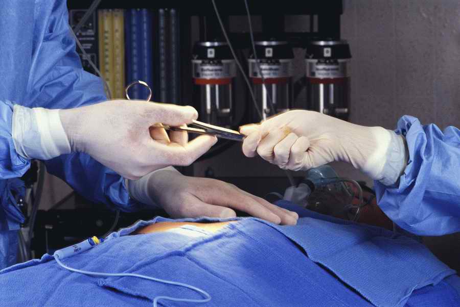 Health & Medicine - Photodisc ></a>
<script language=JavaScript> 
  var txt = 