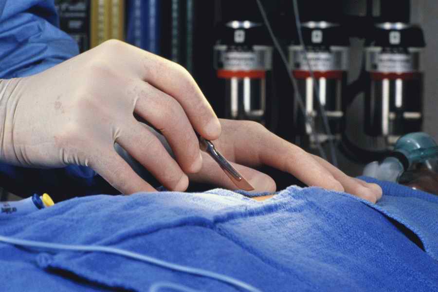 Health & Medicine - Photodisc ></a>
<script language=JavaScript> 
  var txt = 