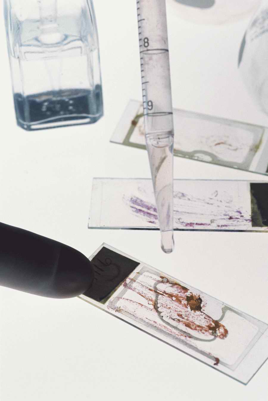 Health & Medicine - Photodisc ></a>
<script language=JavaScript> 
  var txt = 