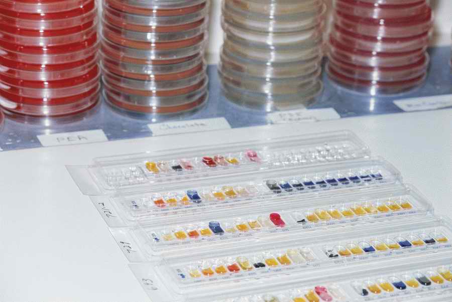 Health & Medicine - Photodisc ></a>
<script language=JavaScript> 
  var txt = 