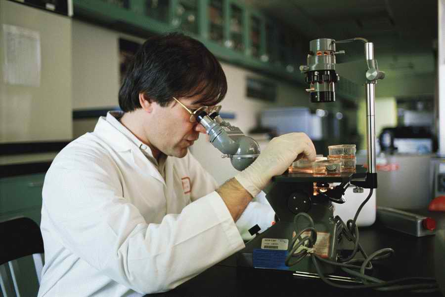 Health & Medicine - Photodisc ></a>
<script language=JavaScript> 
  var txt = 